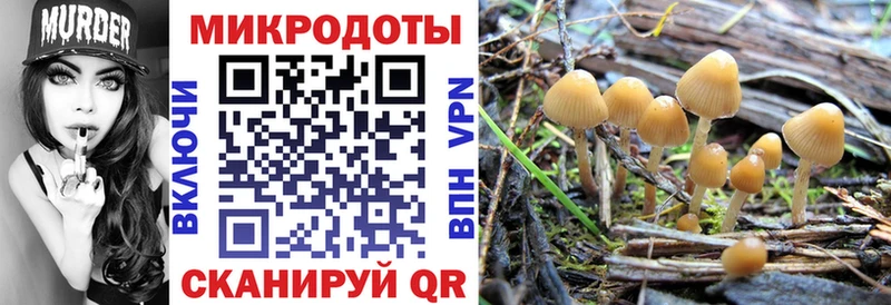 Псилоцибиновые грибы мухоморы  это Telegram  Холмск  даркнет сайт  omg ТОР 